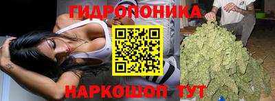 apvp Ливны