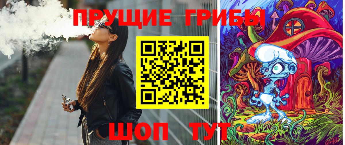 Псилоцибиновые грибы GOLDEN TEACHER  Вход с VPN  цены наркотик  Моршанск 