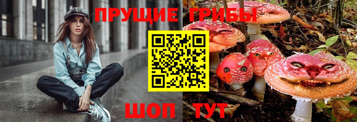 Галлюциногенные грибы прущие грибы Моршанск